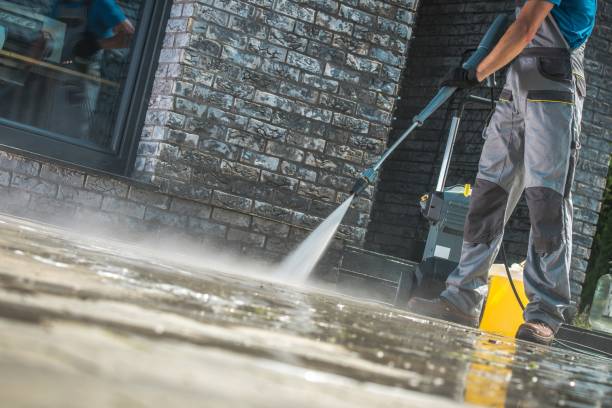 Best Dumpster Area Cleaning  in East Massapequa, NY